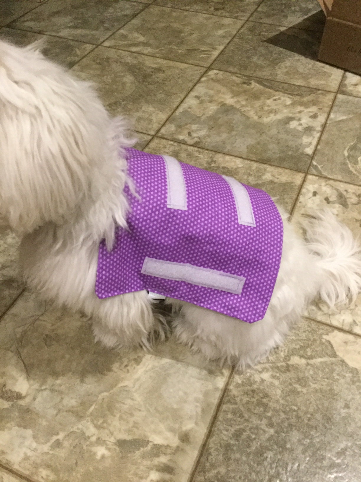 Custom service dog vest Etsy