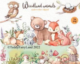 Woodland. Watercolor clipart of forest animals. Cute forest clipart. Children's decor, bear, fox, owl, hedgehog, rabbit, deer. Baby shower.
