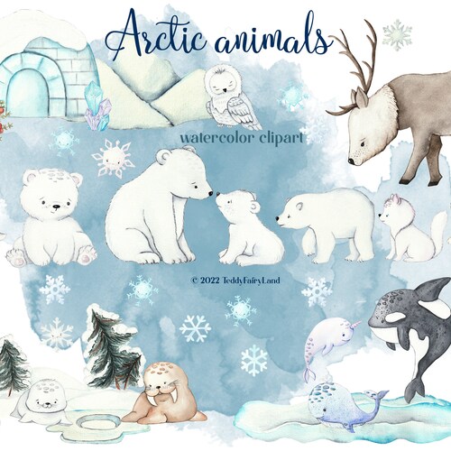 Arctic Animals Watercolor Cliparts Polar Animals North Pole - Etsy Arctic Animals Watercolor Cliparts Polar Animals North Pole - Etsy