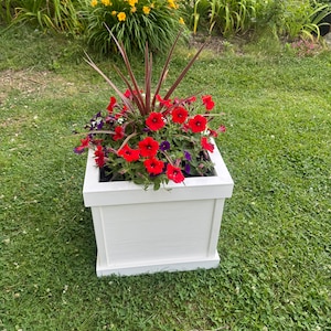 May include: A white planter box filled with red and purple flowers. The planter is sitting on a green lawn.