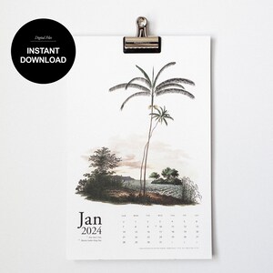 Large 2024 Printable Vintage Palm Calendar, 11x17 Calendar, Wall Calendar, Calendar Printable, 12 Month Calendar, Digital Download