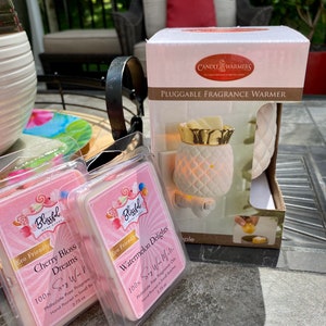 Pluggable Wax Melt Warmer & Wax Melt Gift Set