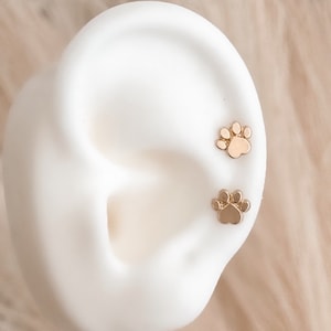 May include: A pair of gold-colored paw print stud earrings displayed on a white ear model. The earrings are small and delicate, with a polished finish. The background features soft, feathery textures.