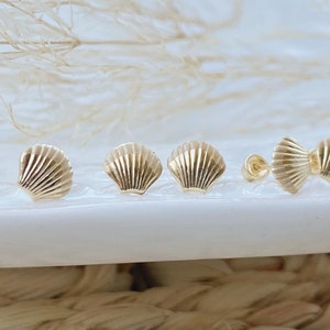 10K Gold Stud Earrings – Solid Gold Seashell Studs with Screw Backs – Hypoallergenic Gold Earrings for Piercings & Ear Stacks