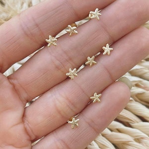 10 kt gouden zeester-oorknopjes – geschroefde achterkant, sierlijk en hypoallergeen, oceaansteroorbellen, minimalistische gouden piercingsieraden