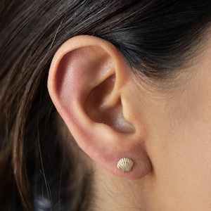 May include: A close-up of a person's ear with a small, gold seashell stud earring. The earring is a detailed miniature of a seashell, with delicate lines and a polished finish. The ear is set against a background of dark hair.
