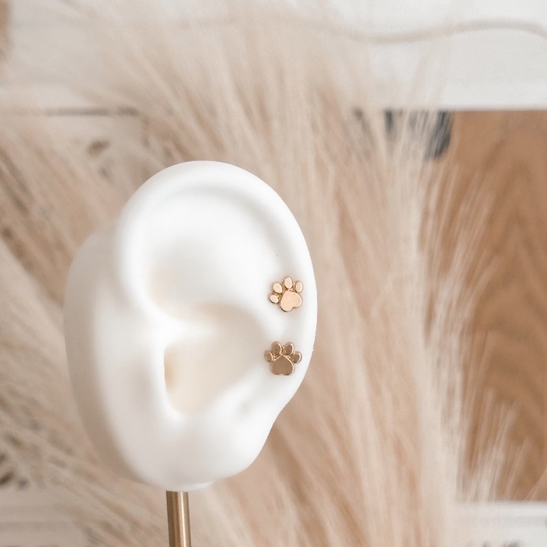 May include: A pair of gold-colored paw print stud earrings displayed on a white ear model. The earrings are small and delicate, with a polished finish. The background features soft, feathery textures.