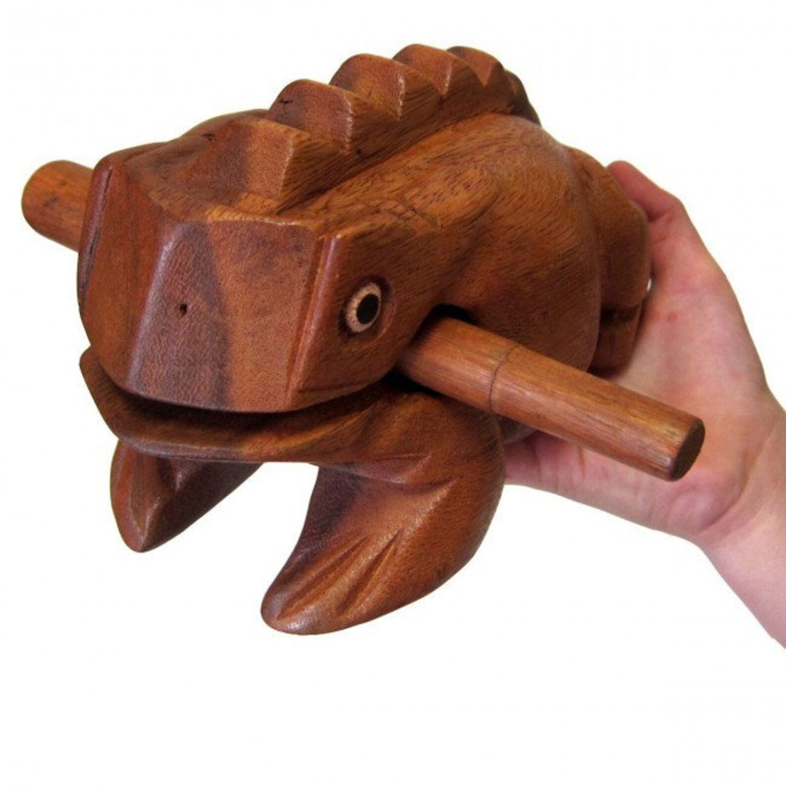 Deluxe JUMBO 8 Wood Frog Guiro Rasp by World Percussion Etsy