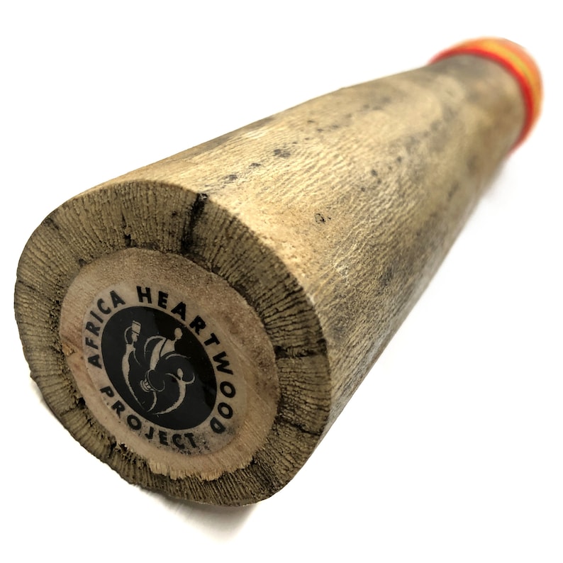 50 Chilean Cactus Rainstick by Africa Heartwood Project Etsy