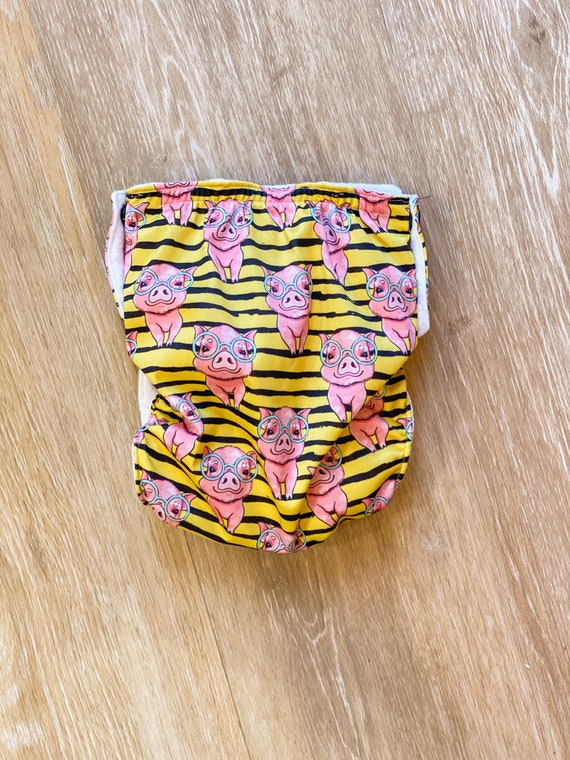 all in 2 cloth nappies