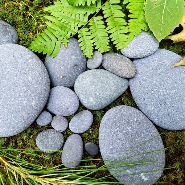 Lake Superior Michigan Basalt Blue Stones 1lb(454g) or 16oz Mixed Rough