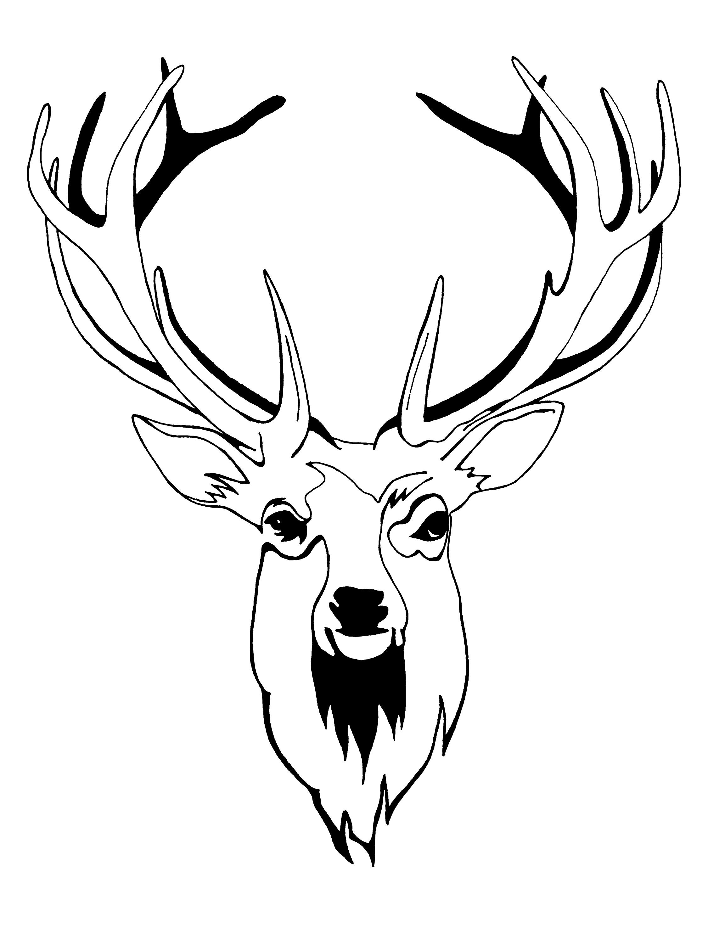 Stag Head giclee print | Etsy