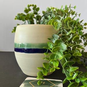 以下が含まれることがあります： 中央に青と緑のストライプが入った白い陶器製のプランター。プランターには緑の葉の植物が入っています。