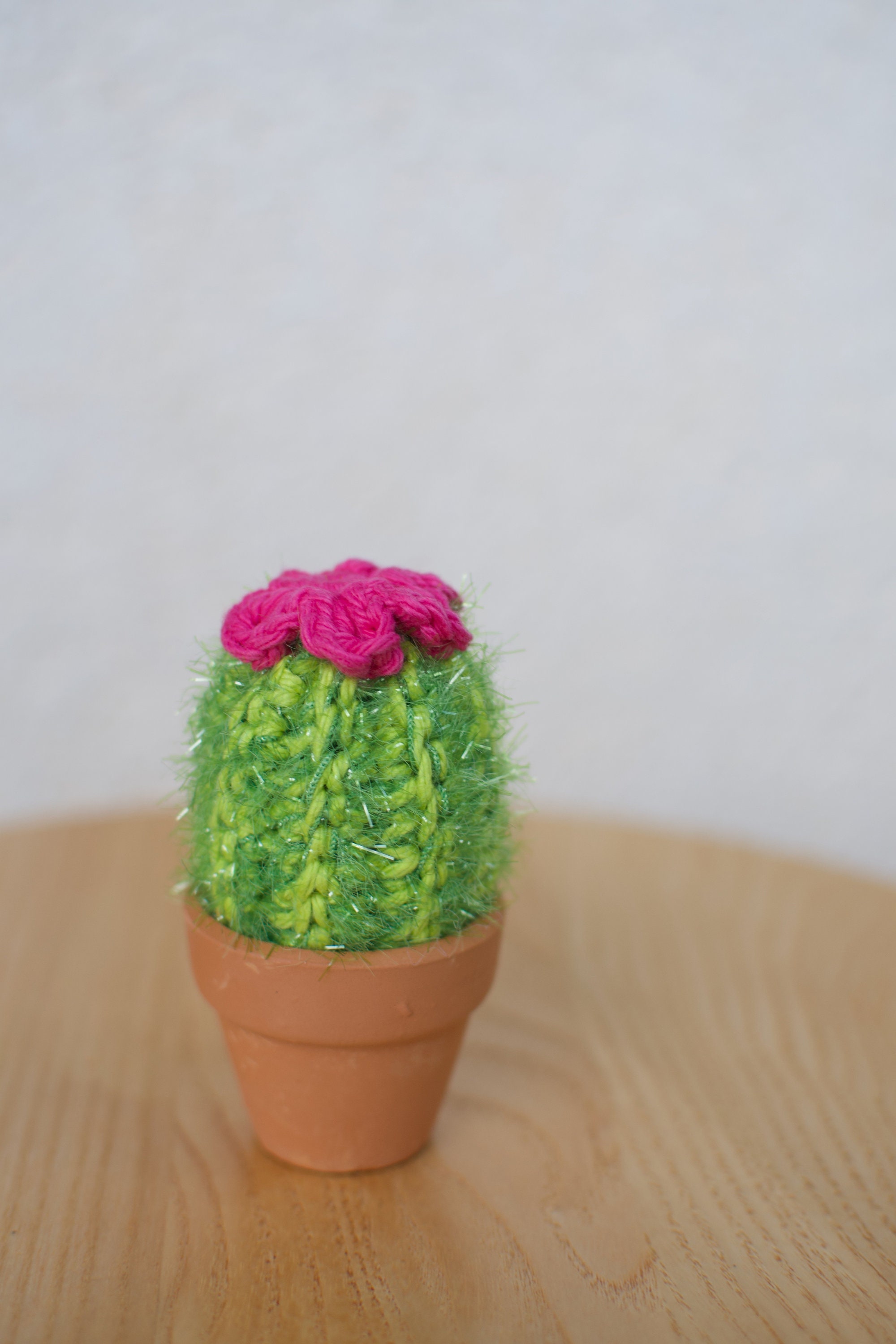 Crochet Spiky Cactus/succulent/barrel Cactus - Etsy