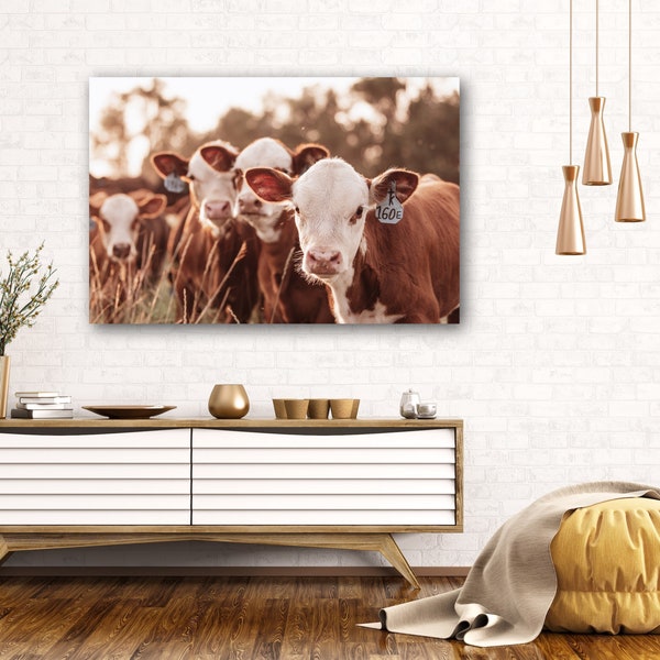 Western Print - Hereford Calves