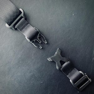 May include: Two black adjustable straps with plastic buckles. The straps are made of a woven nylon material.