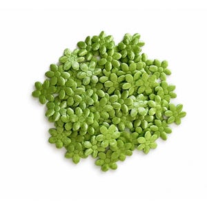 May include: A collection of small, light green, flower-shaped sprinkles. Each piece features a central circular core surrounded by six rounded petals. The items are arranged in a loose, overlapping cluster, displaying a uniform matte finish.