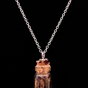 May include: A silver chain necklace with a small glass vial pendant containing brown hair. The vial has a cork stopper.