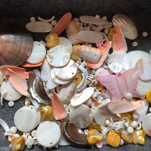 May include: A collection of white, pink, and brown seashells of various shapes and sizes. The shells are arranged in a random pattern and include a butterfly-shaped shell.