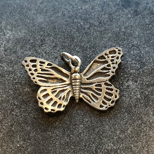 May include: A silver butterfly charm with detailed wings and a textured body.