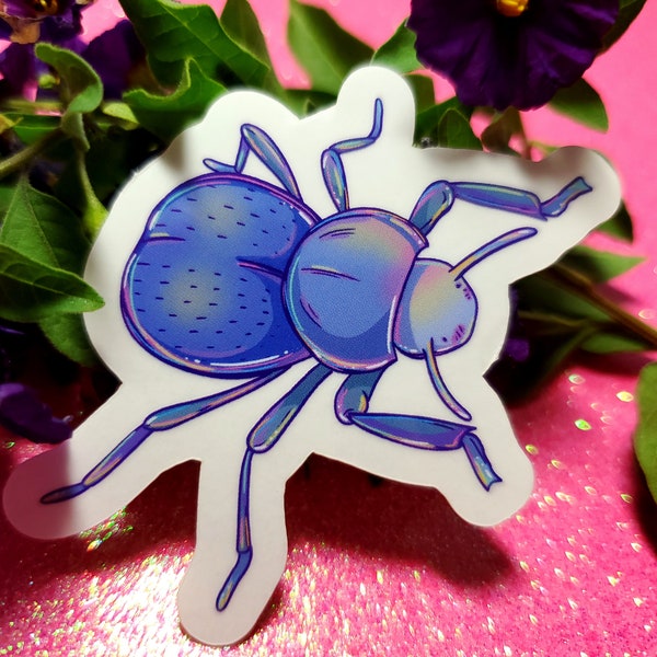 Kawaii Cute Blue Death Feigning Beetle Clear Sticker