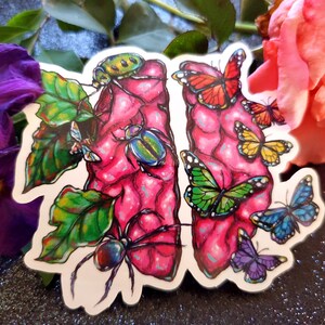 Cerebro e insectos, escarabajos y mariposas - Pegatina de vinilo
