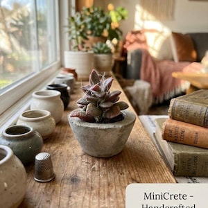 May include: A small succulent plant in a 1-inch concrete planter. The plant has reddish-purple leaves. The planter is on a wooden surface, with other small ceramic pots and vintage books nearby. The text on the image says "MiniCrete - Handcrafted 1" Concrete Planter."