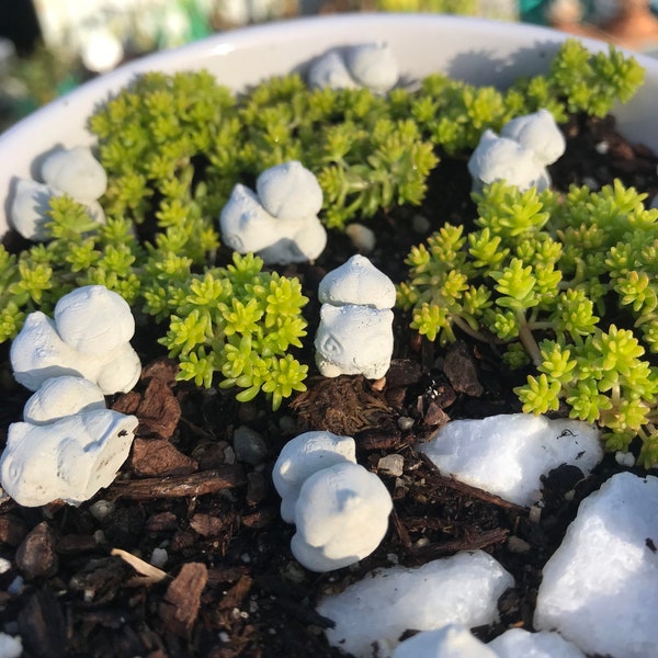 Set of 10 Handmade Mini Concrete Bulbasaur Garden and Pot Decorations! Small and Cute Garden Filler 1/2 inch!