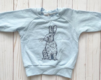 Blue Easter Bunny Graphic Sweater. Raglan Style Spring Sweater. Baby Girl Easter Outfit.