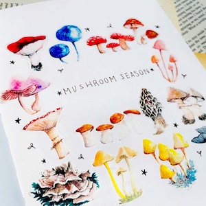 Sticker Pack - Mushroom Collection