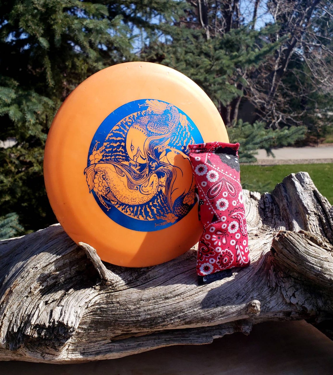 Disc Golf/ Ultimate Frisbee Chalk Bag for Improved Grip Dog Etsy