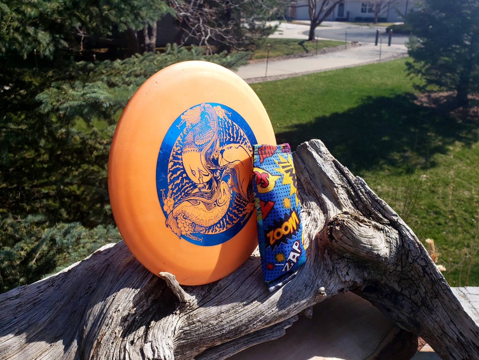 Disc Golf/ Ultimate Frisbee Chalk Bag for Improved Grip super Etsy