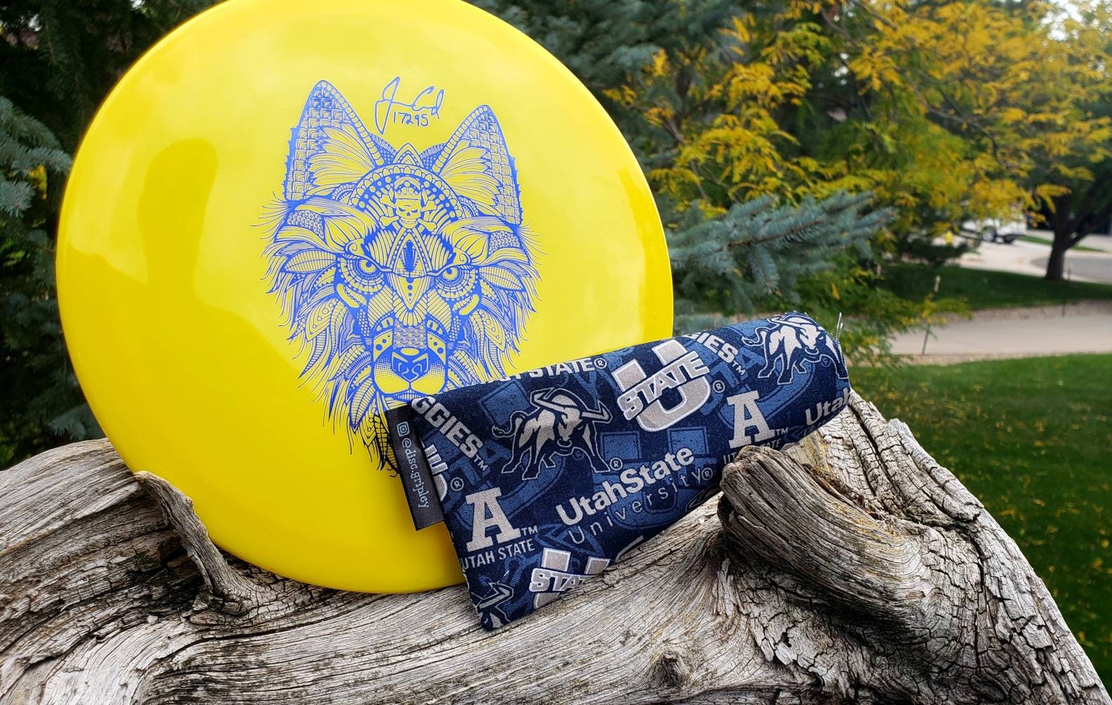 Disc Golf/ Ultimate Frisbee Chalk Bag for Improved Grip Etsy Australia
