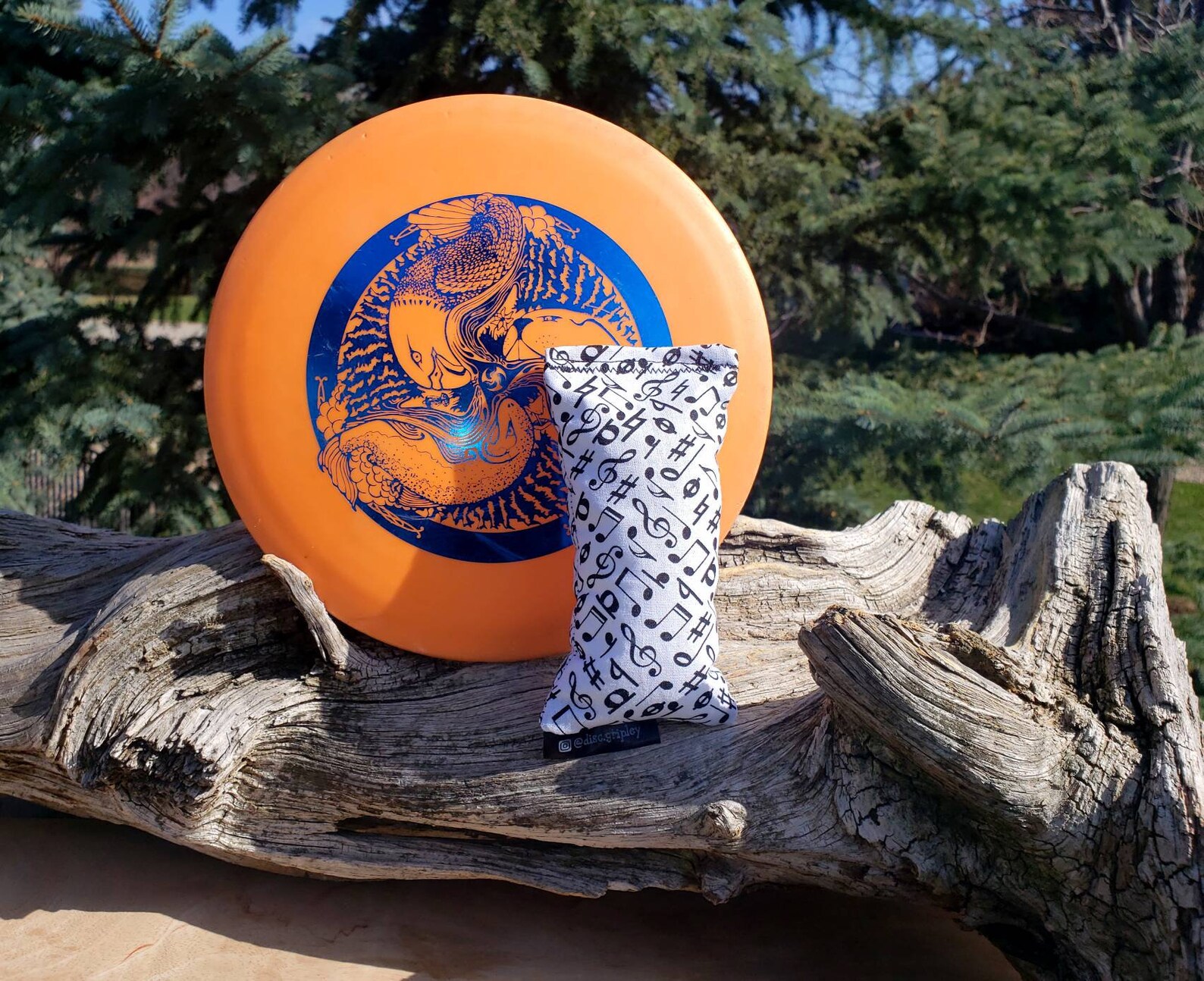 Disc Golf/ Ultimate Frisbee Chalk Bag for Improved Grip music Etsy