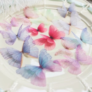 Puede incluir: Surtido de adornos en forma de mariposa de color pastel hechos de tela transparente. Las mariposas están dispuestas en un plato blanco.