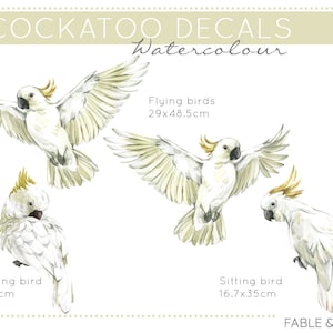 May include: Watercolor Cockatoo decals featuring three cockatoos in different poses: one preening, one sitting, and two flying. The decals are available in various sizes, with the flying cockatoos measuring 29 inches by 48.5 inches, the preening cockatoo measuring 18 inches by 36 inches, and the sitting cockatoo measuring 16.7 inches by 35 inches.
