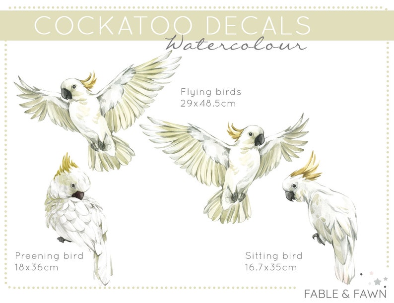 May include: Watercolor Cockatoo decals featuring three cockatoos in different poses: one preening, one sitting, and two flying. The decals are available in various sizes, with the flying cockatoos measuring 29 inches by 48.5 inches, the preening cockatoo measuring 18 inches by 36 inches, and the sitting cockatoo measuring 16.7 inches by 35 inches.