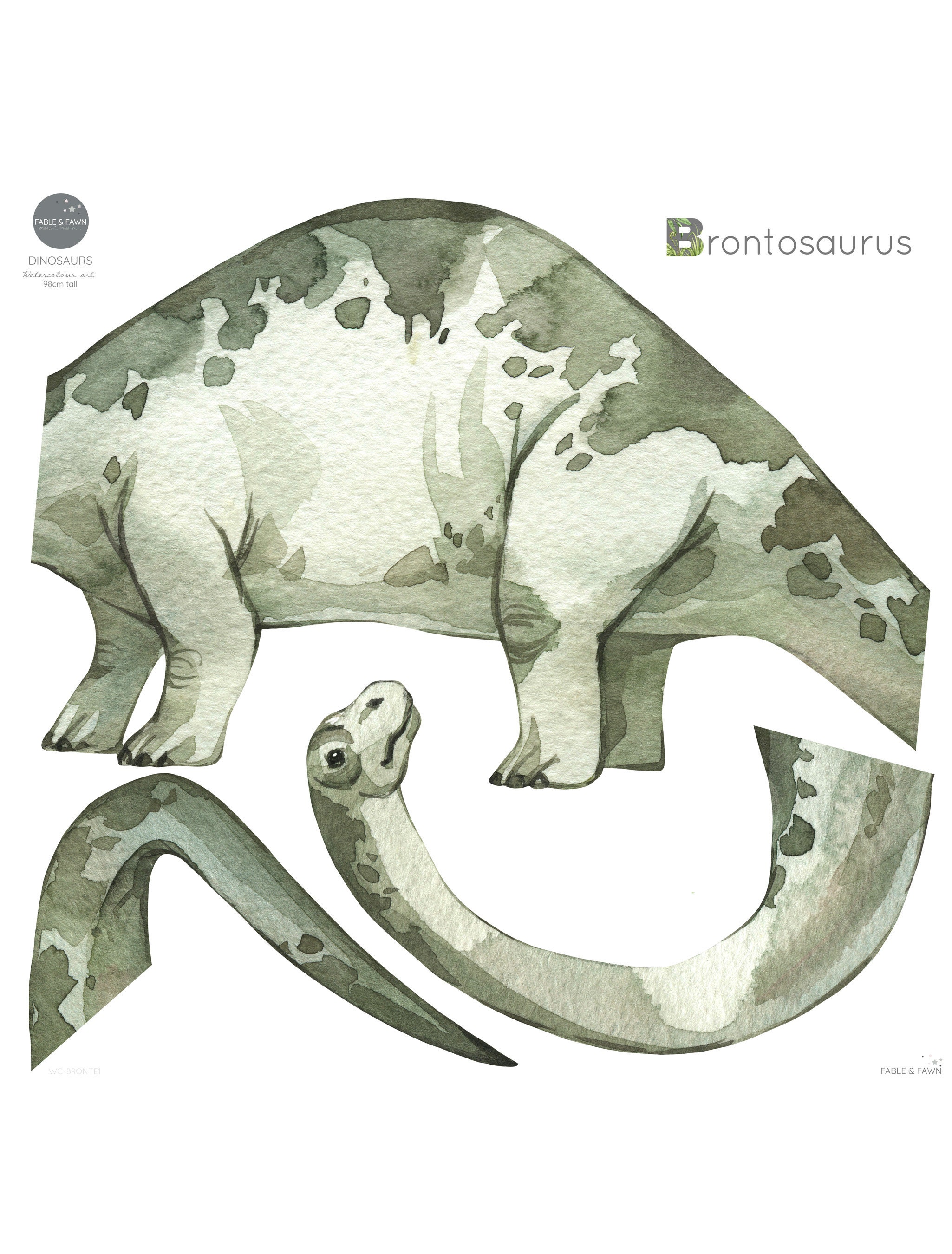Large Brontosaurus - Dinosaur Wall Decals, Dinosaur Wall Stickers ...