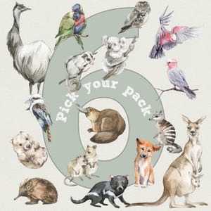 Pick Your Own 6 Australian Animals + TREE , Australian Theme Nursery, Fable and Fawn, Koala Kangaroo Kookaburra Cockatoo Possum Dingo