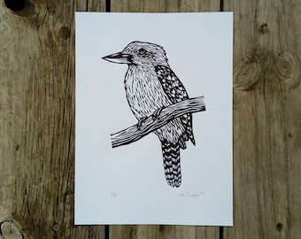 Kookaburra // gravure sur bois