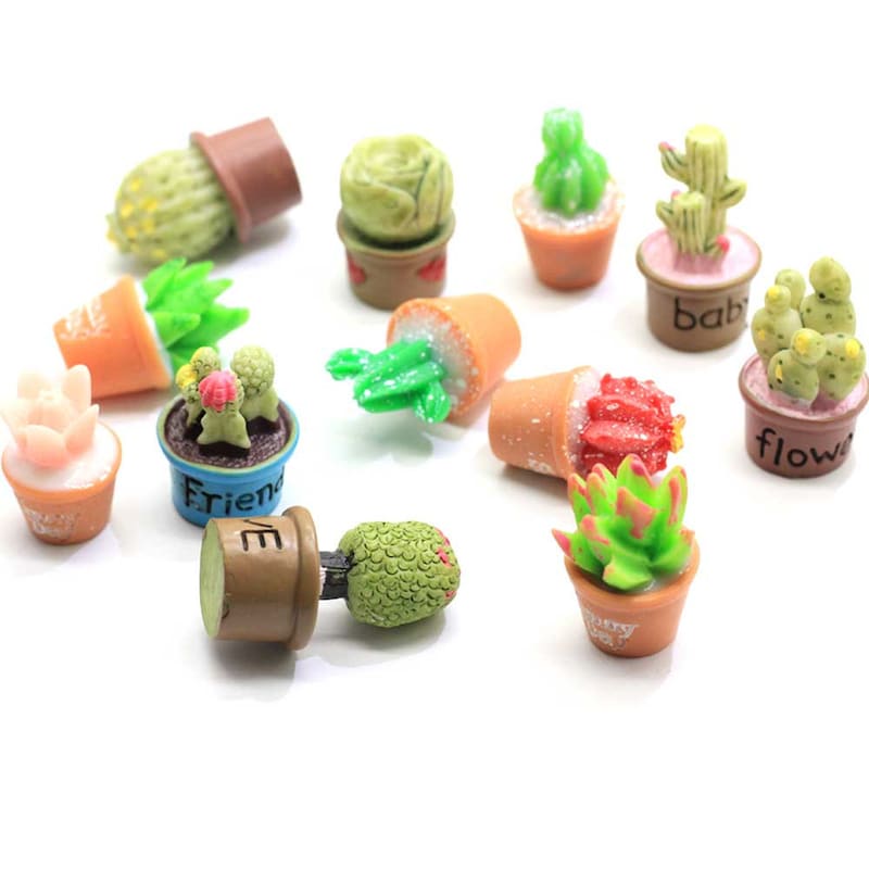 Miniature Cactus - Etsy
