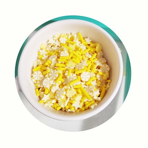 Fatias de cereja misturadas de hortelã-pimenta, argila de polímero polvilhada para artesanato, fazer cartões shaker diy, acessórios de slime