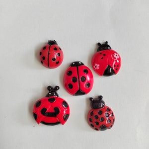 Resina coccinella coccinella scarabeo ciondoli Flatback Kawaii Cabochon adesivo per frigorifero artigianato in resina creazione di gioielli ornamento