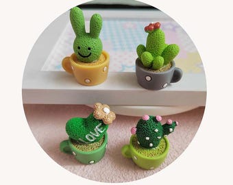 Może przedstawiać: Cztery miniaturowe rośliny doniczkowe, każda z innym wzorem. Rośliny znajdują się w małych doniczkach ceramicznych w różnych kolorach i wzorach. Rośliny obejmują kaktusa, sukulenta i dwie inne rośliny z zielonymi liśćmi. Doniczki mają około 5 cm wysokości.
