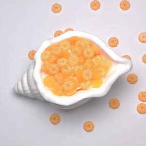 Può includere: Una ciotola bianca a forma di conchiglia piena di fette di frutta arancioni segmentate. Intorno alla ciotola sono sparse altre fette di frutta arancioni. Le fette di frutta hanno un aspetto dettagliato e strutturato, e lo sfondo è bianco.