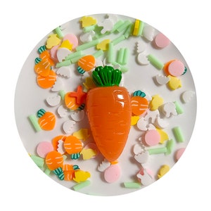 Lindo conejo zanahoria polímero arcilla rebanadas zanahoria encanto resina espolvorea Nail Art Sprinkles
