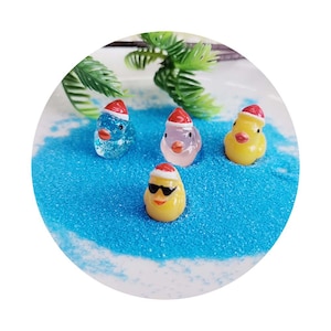 Poppenhuis Fairy Garden Sierhars Kleine eendjes voor de tuin Minispeelgoed