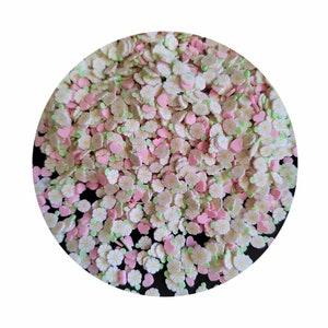 Polymeerklei hagelslag Daisy Flower Pink Heart Slices voor speelgoed decoratie DIY Crafts Filler Accessoires