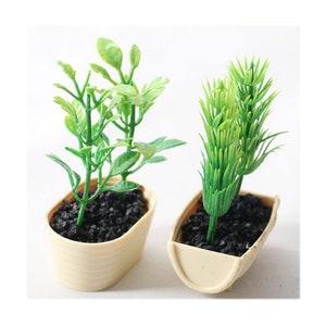 May include: Two small potted plants with green leaves. The plants are in cream-colored pots with black soil.
