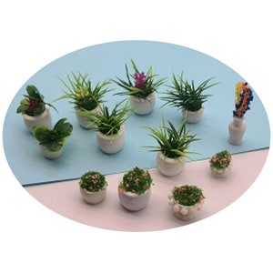 Puede incluir: Una colección de plantas en macetas en miniatura. Las plantas presentan varios follajes verdes y pequeñas flores rosas o moradas. Las macetas son blancas y tienen diferentes formas. El fondo es azul claro y rosa.